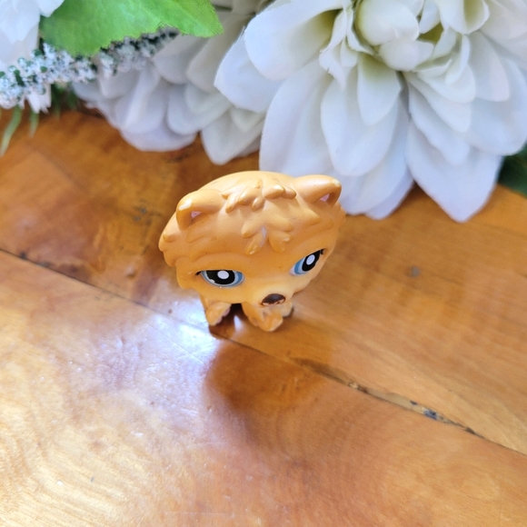 Littlest Pet Shop LPS #117 Chow Chow Dog Orange Brown Blue Eyes Hasbro 2005 - Picture 2 of 9